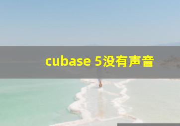 cubase 5没有声音